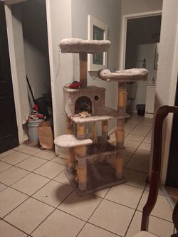 Playhouse  4 cats !