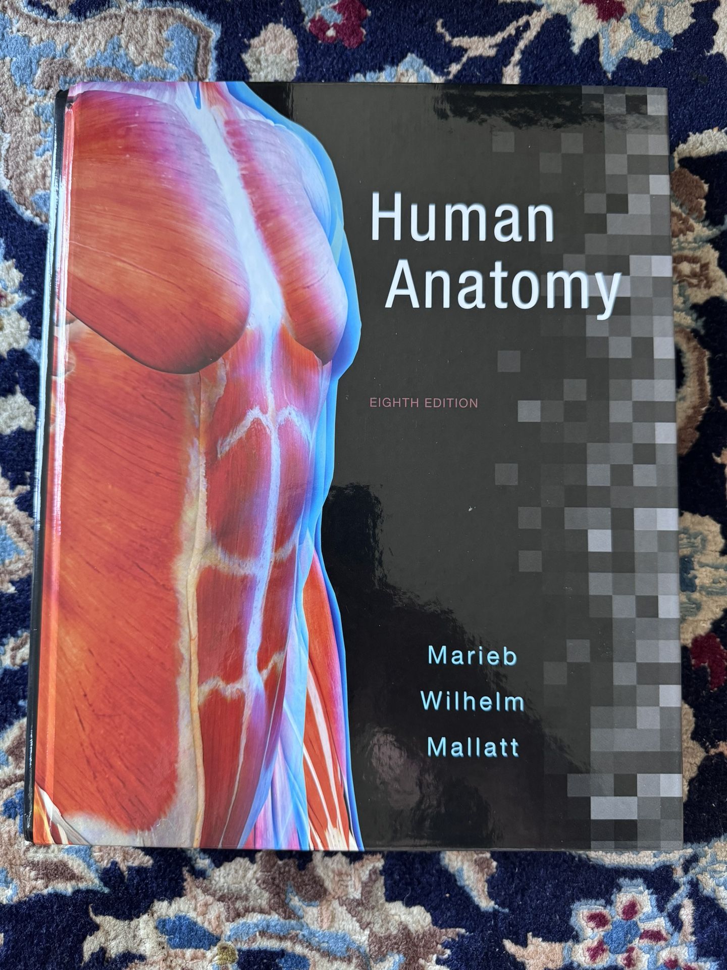 Human Anatomy EIGHTH EDITION Marieb Wilhelm Mallatt