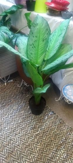 New artificial silk tree looks real high quality