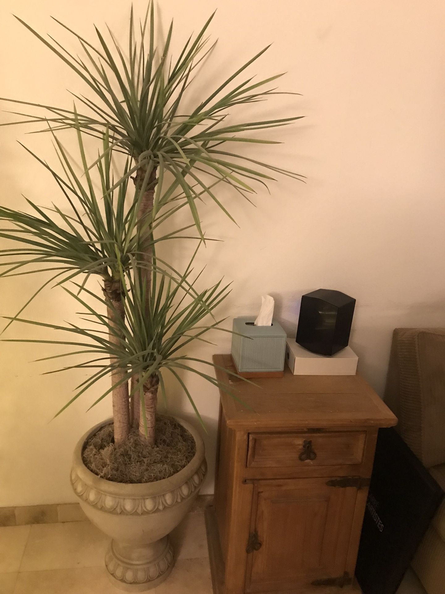 Artificial Unique Tree (6 ft) w/ Natural Wood Trunk and Stone Design Pot