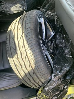 Mustang 29 inch rims