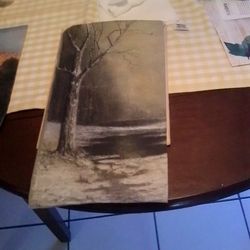 Beautiful Picture Winter 20.00needs Frame