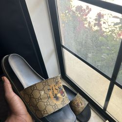 Gucci Sandals 