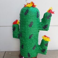 Cactus Piñata,  Disert Piñata,  Plant Piñata,  Fiesta Piñata 