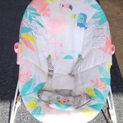 Baby Bouncer