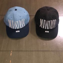 Pleasures Hats