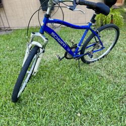 Schwinn Street Bike
