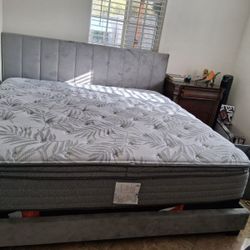 Sealy Matres and Frame (King)