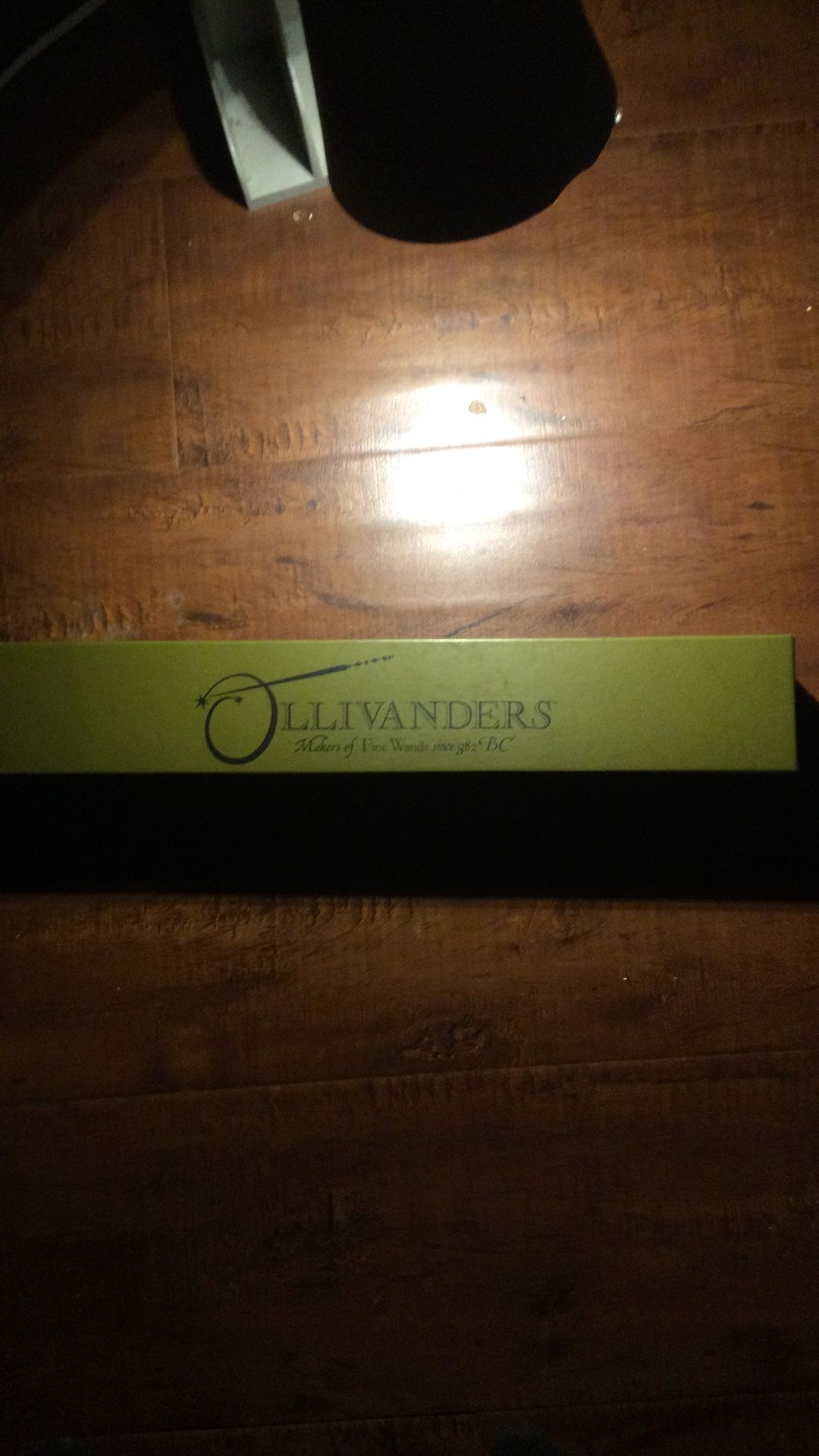 Harry Potter Wand From Disney Land (From The Movie)