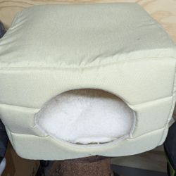 Cat Bed