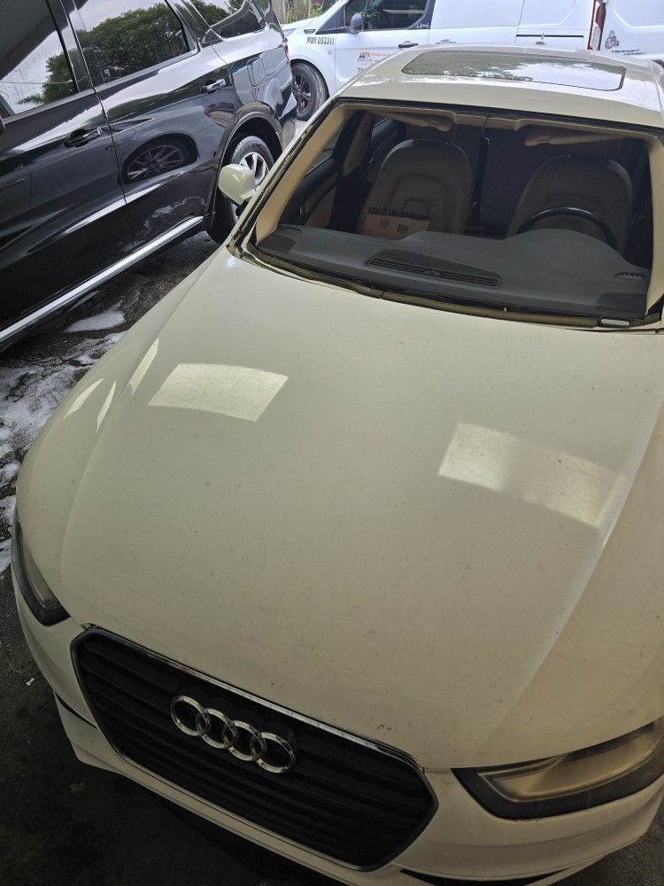 Windshield/palabrisas