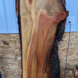 Dawn Redwood Slabs