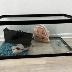 Fish Tank- 40 Gallons 