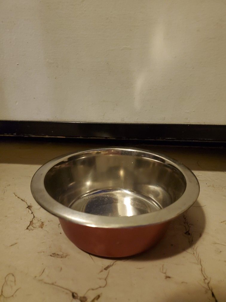 Silver and Brown Dog Water Bowl
