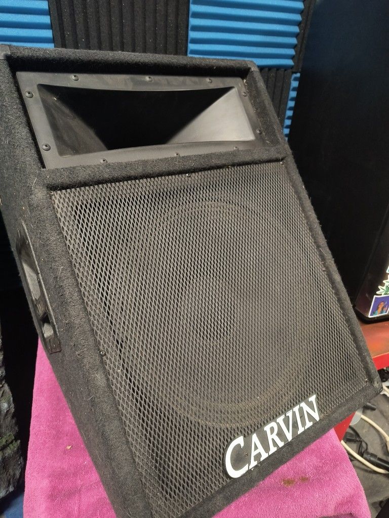 15" Carvin Monitor
