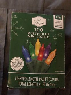 Holiday Time 100 Multicolor LED Mini Lights