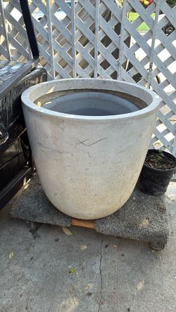 Large plant pots
