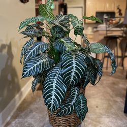 Large Artificial plant in wicker basket 