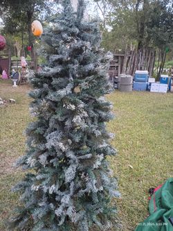 Flocked Christmas tree 🎄