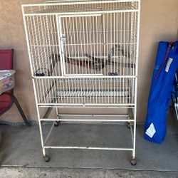 Bird Cage