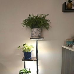 Plant stand with grow light.