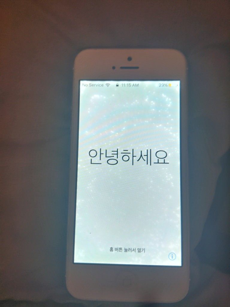 iPhone 5s