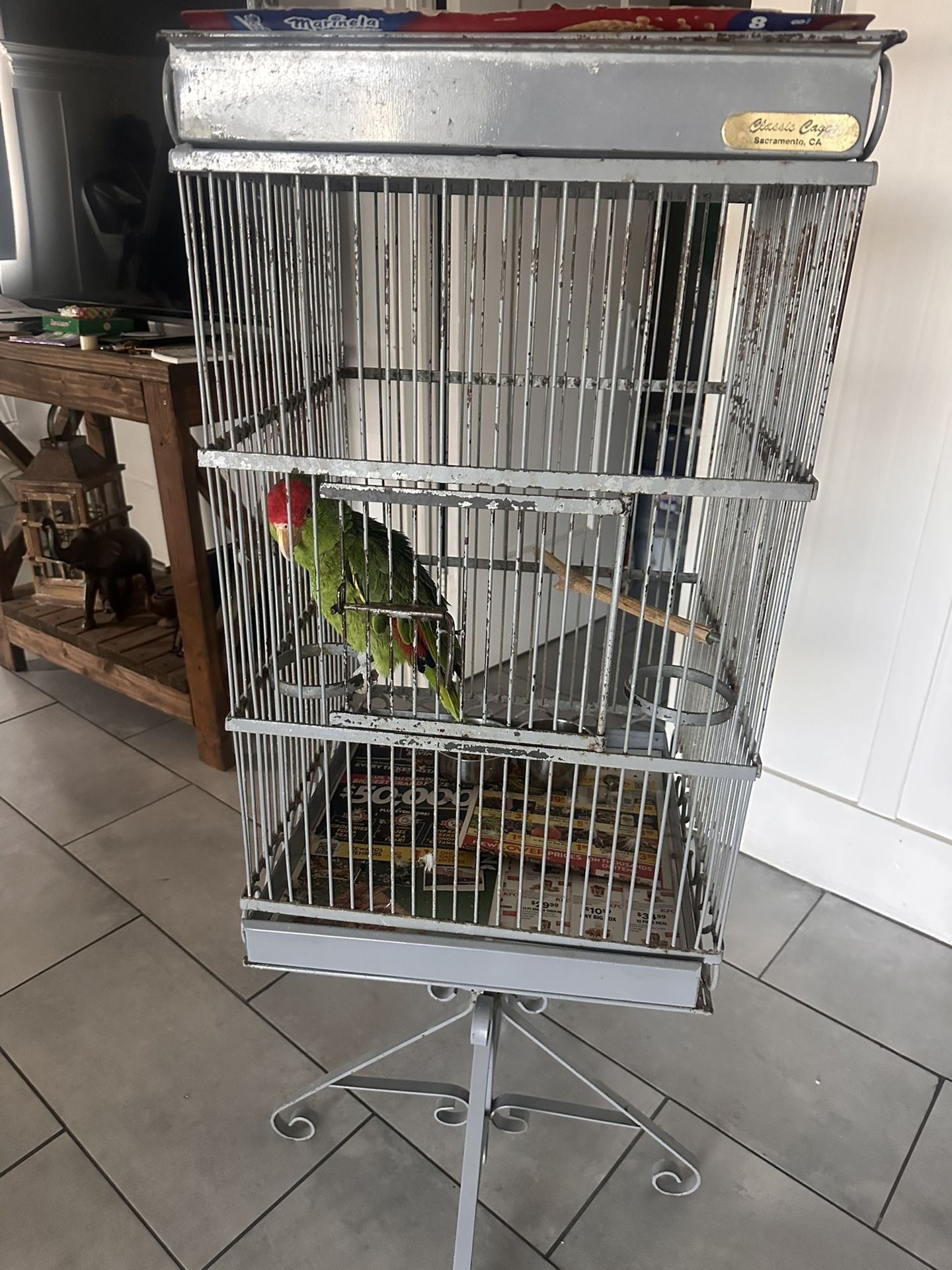 For Sale