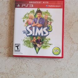 Sims 3 