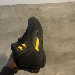 Jordan 12