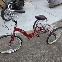 Torker Trike