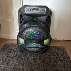 Max Power Professional Speaker With Microphone 