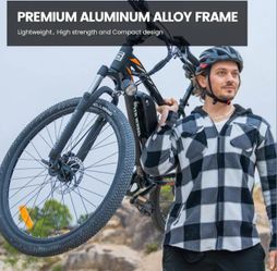 5TH WHEEL E - BIKE   Electric Mountain bike Great Deal