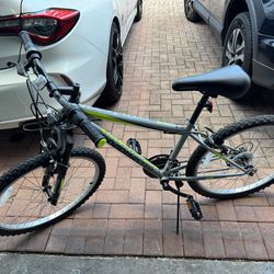 Road master Mountain Bike