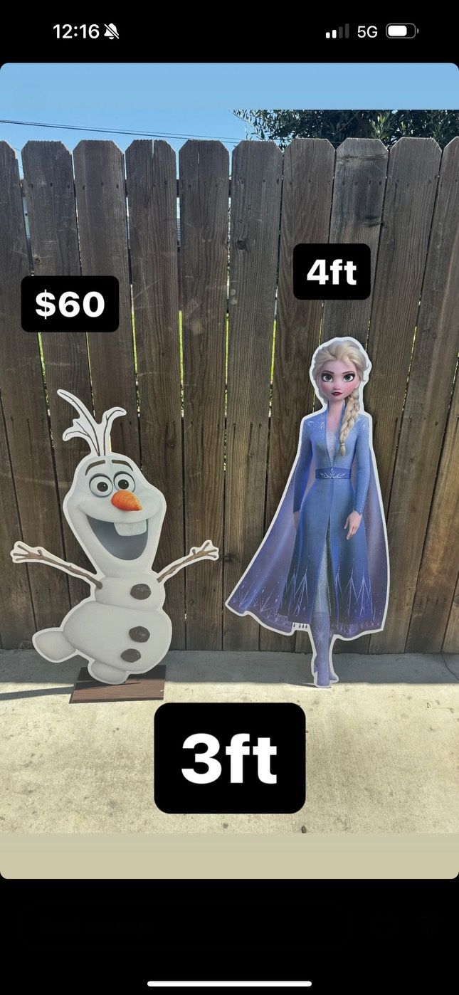 Frozen Decoration