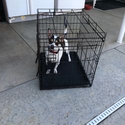 Dog Crate 