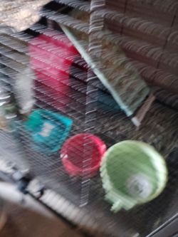 Small critter cage with some supplies