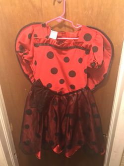 Lady bug costume size 5