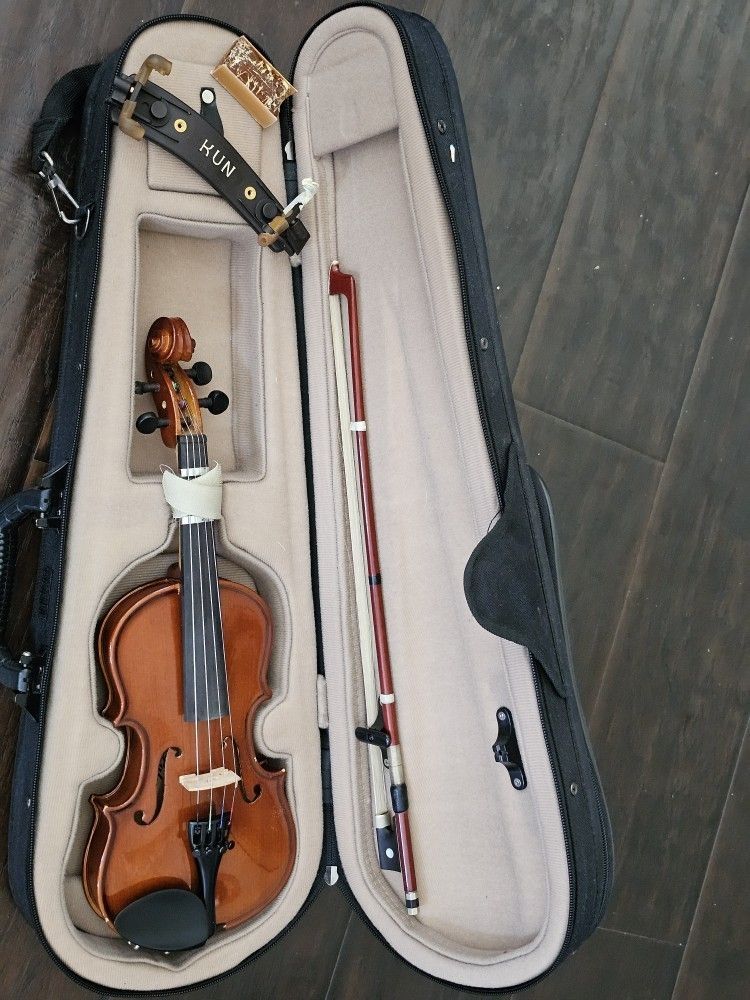 Palatino VN 450 Violin With Accessories 1/10