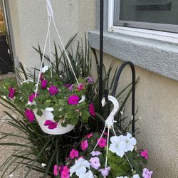Hanging Flowers And Hooks