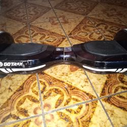 Gotraxx Hoverboard....No Charger