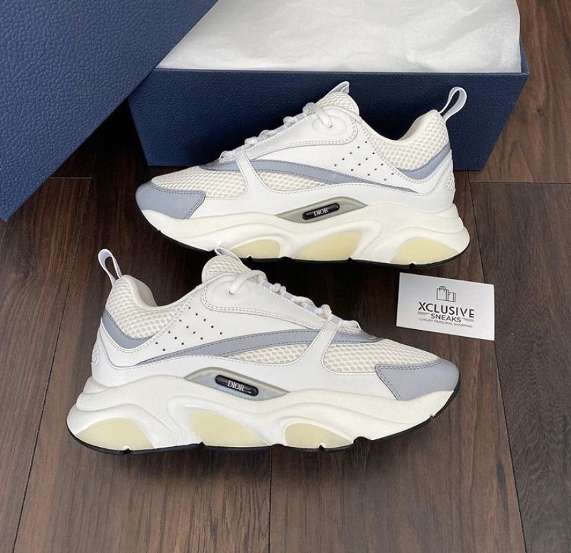 Dior B22 Sneakers Reflective