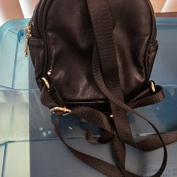 Small Backpack /purse 