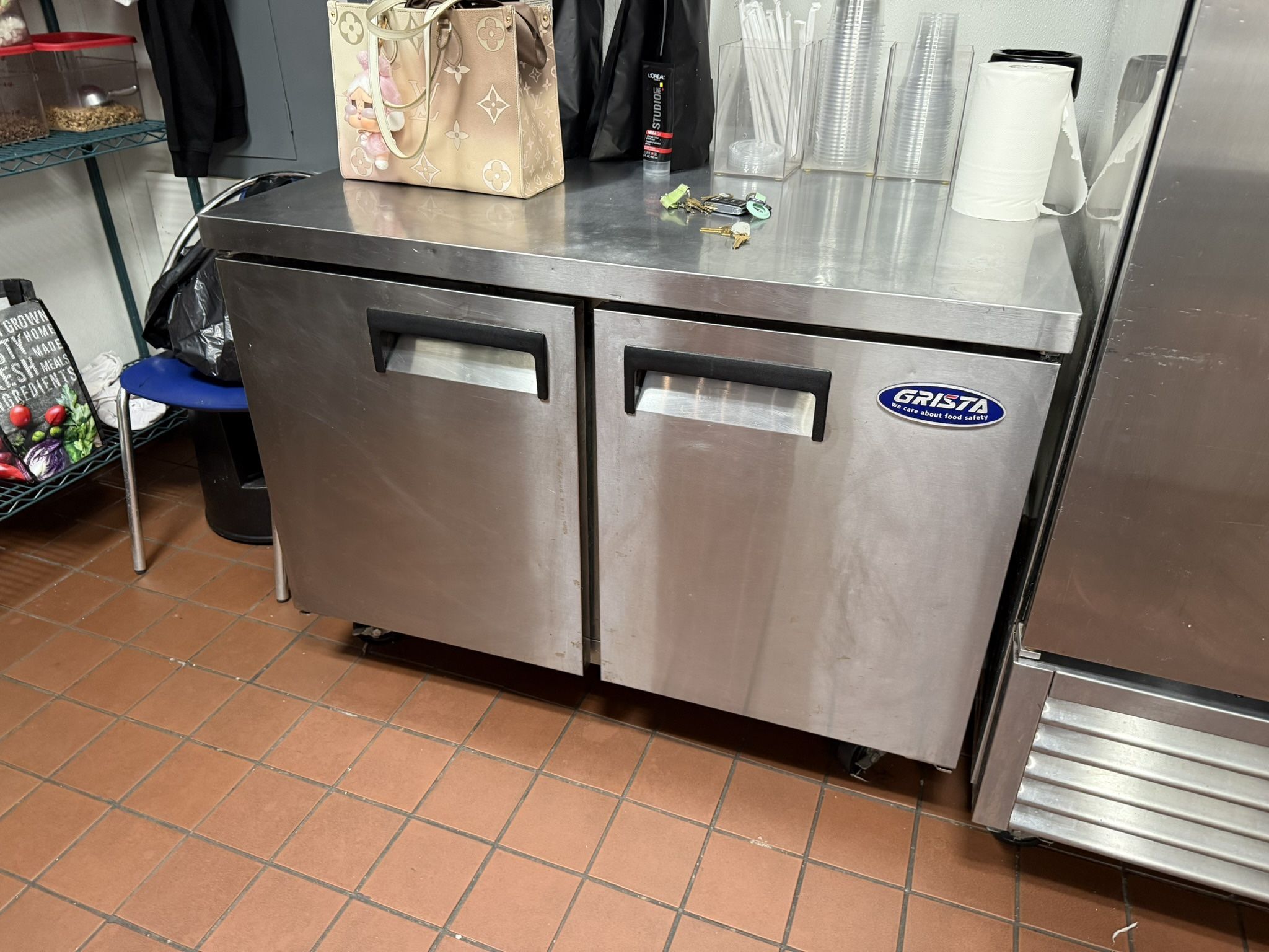 Grista Chest Commercial Freezer