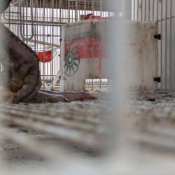 Rooster Cage Wire Cheap Wholesale Price 🍴