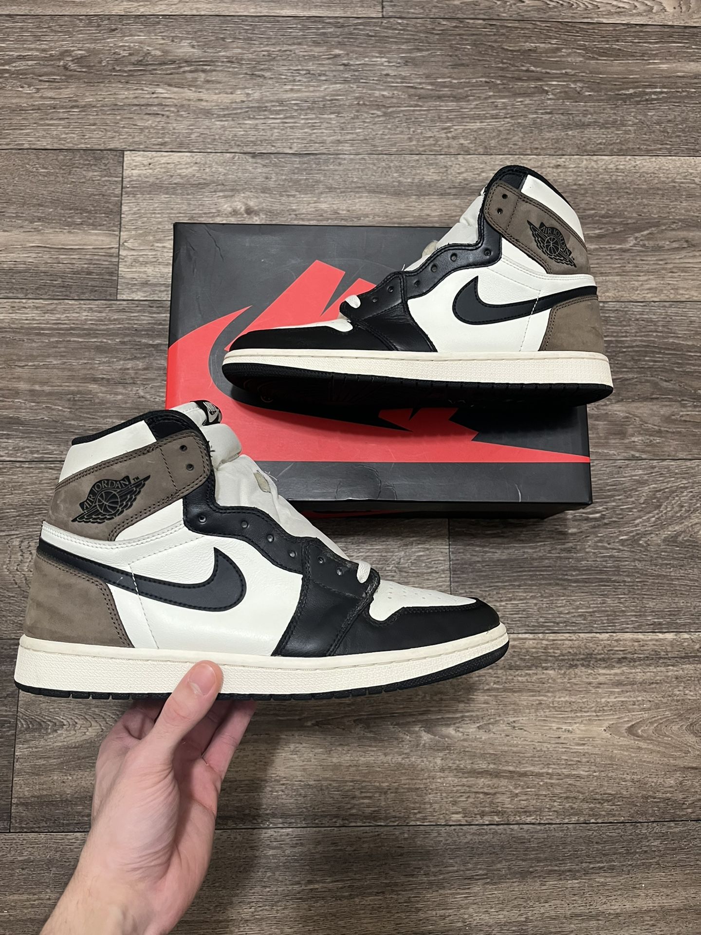 mocha 1s
