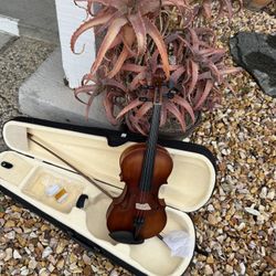 Beautiful 😻 Violin 🎻. 3/4. 