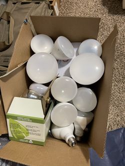 Light Bulbs. Over 30