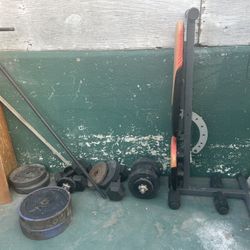 Weights And Bench  