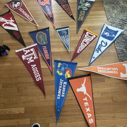 College Pennant Lot  