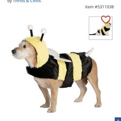 Thrills & Chills™ Halloween Bumble Bee Dog Costume